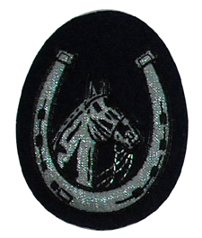 Blazer Badges